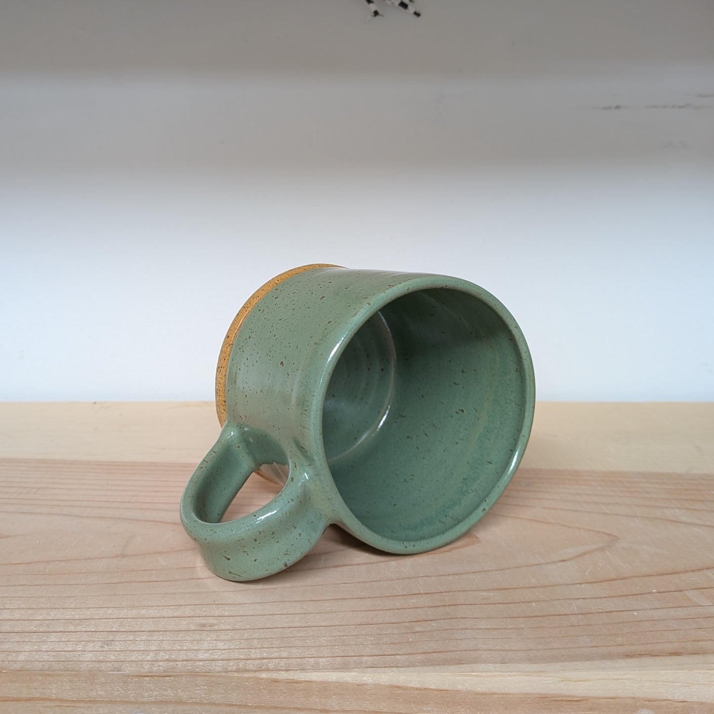 Sage Mug